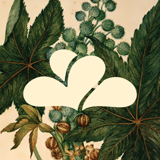 Castor Hearts Gift Card